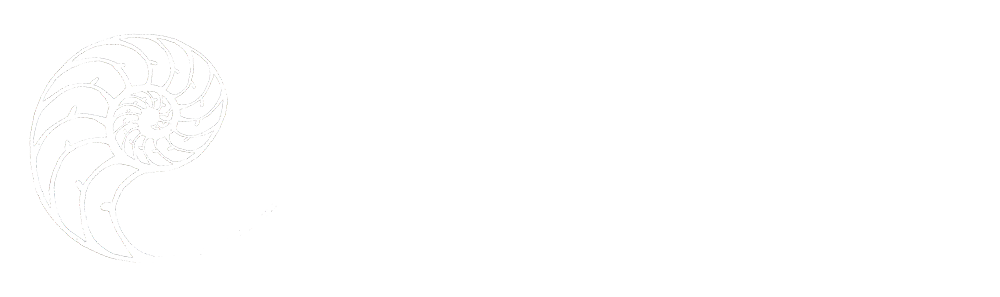 Axiom Data Science Logo
