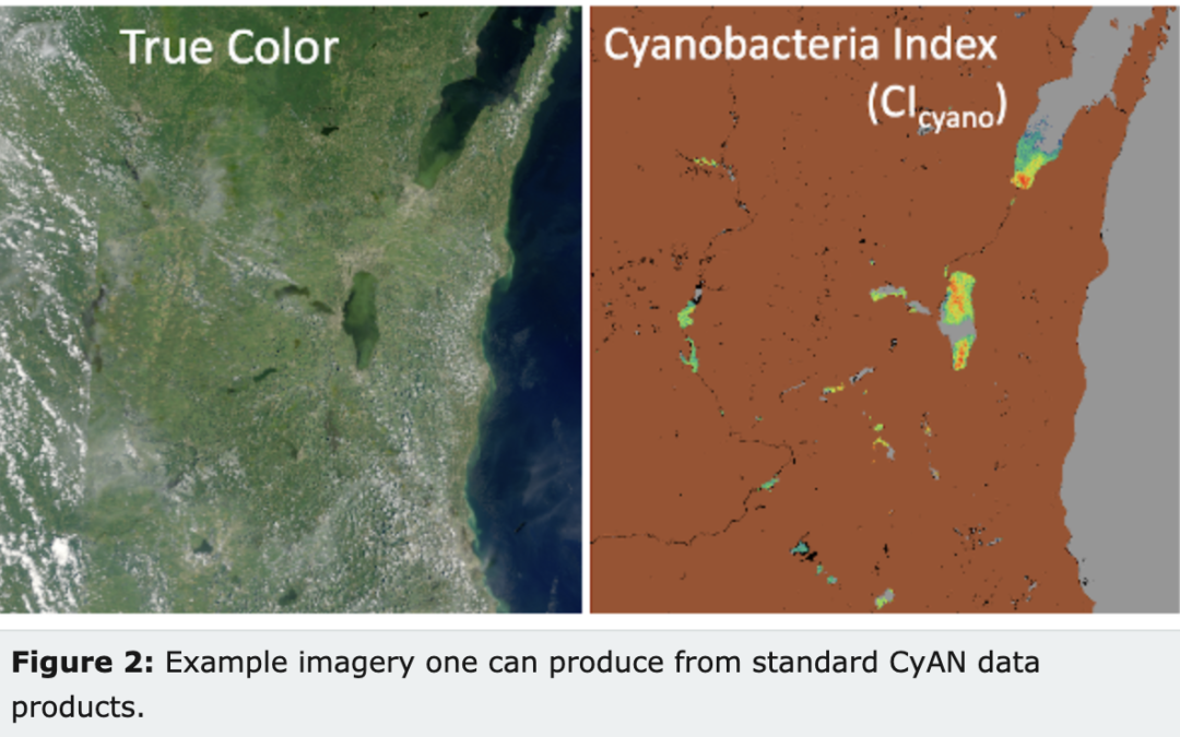 Cyanobacteria Assessment Network helps detect algal blooms
