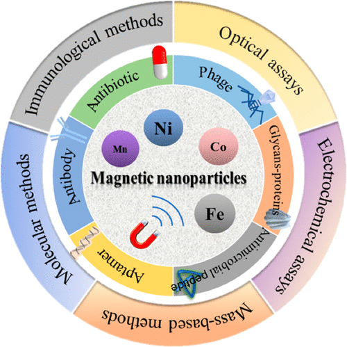 Magnetic nanoseparation tech for detection of toxins