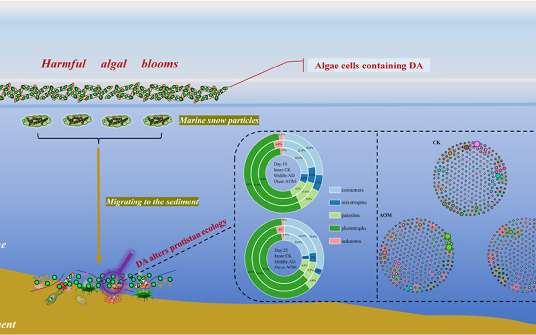Effects of domoic acid on marine microbial ecology